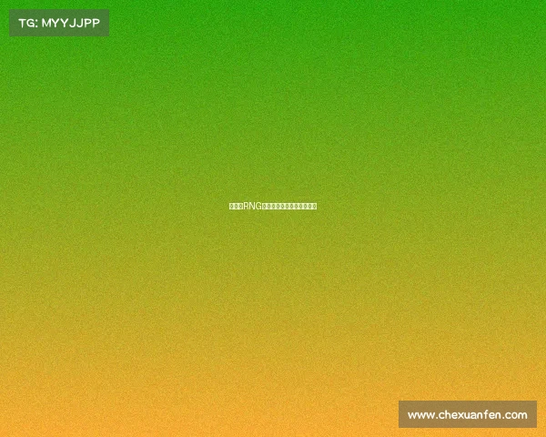 五棵松RNG:荣耀征途,竞逐巅峰之魂 五棵松RNG:荣耀征途,竞逐巅峰之魂