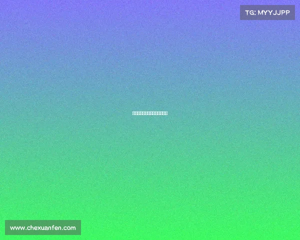 巅峰竞逐：荣耀之巅的终极对决